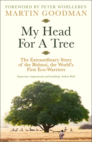 head for a tree cover